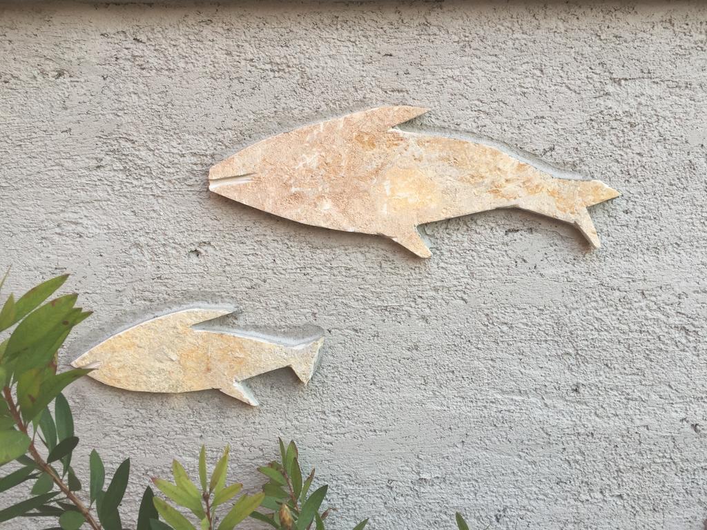 Guesthouse Tariba Supetarska Draga Bagian luar foto